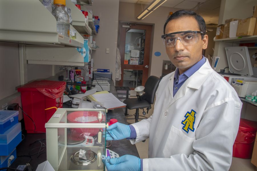 Taking the fight to aflatoxins