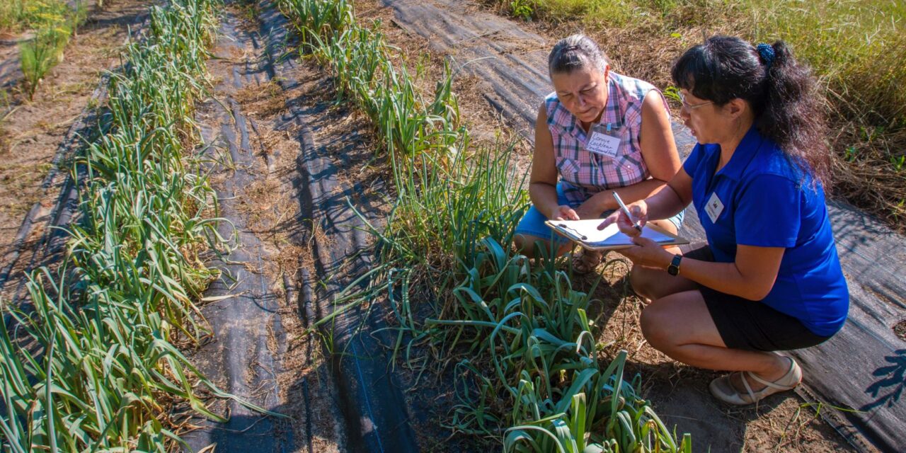 USDA AWARDS N.C. A&T $1.92 MILLION TO LAUNCH HBCU AGRICULTURE BUSINESS INNOVATION CENTER