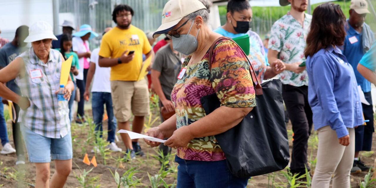 “EMERGING CROPS” BAMBOO, GINGER ON DISPLAY DURING SMALL FARMS FIELD DAY