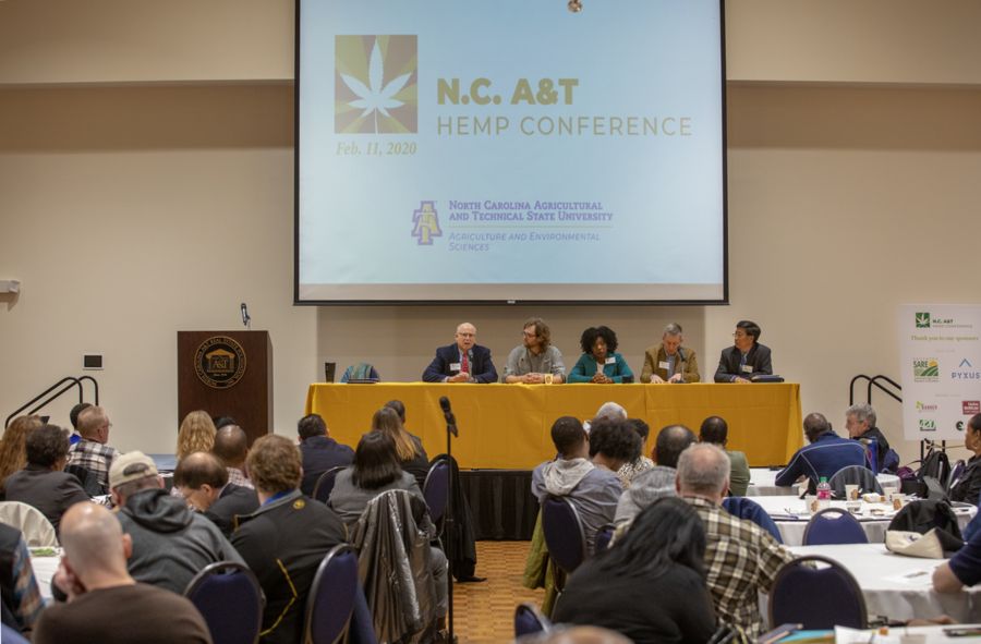 Hints About Hemp