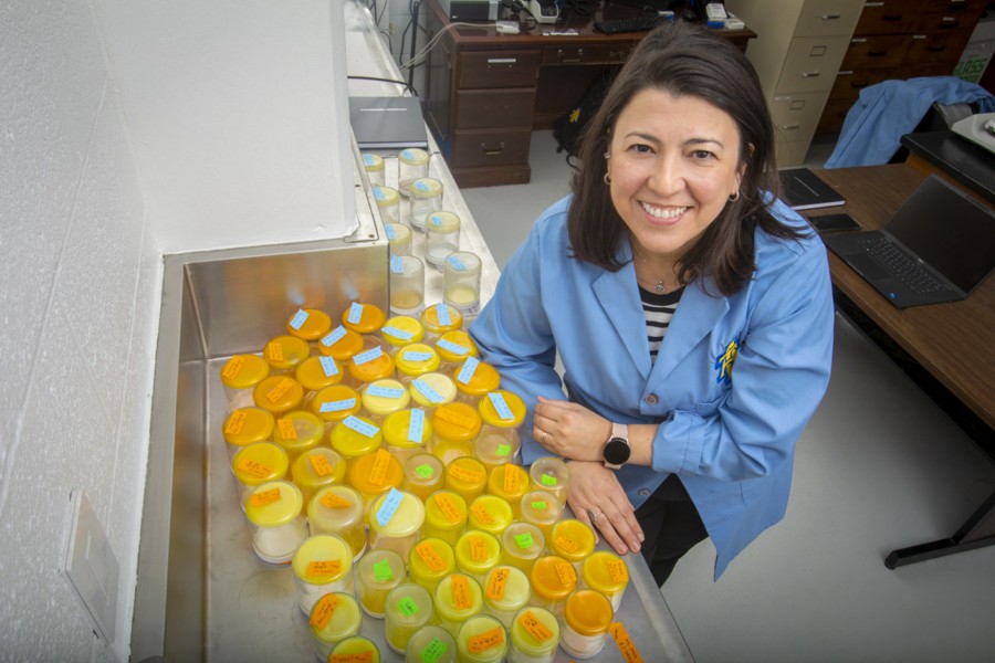 A healthier process?  Roberta Claro da Silva is seeking a safe, natural and low-cost fat substitute that can promote human well-being.A healthier process?