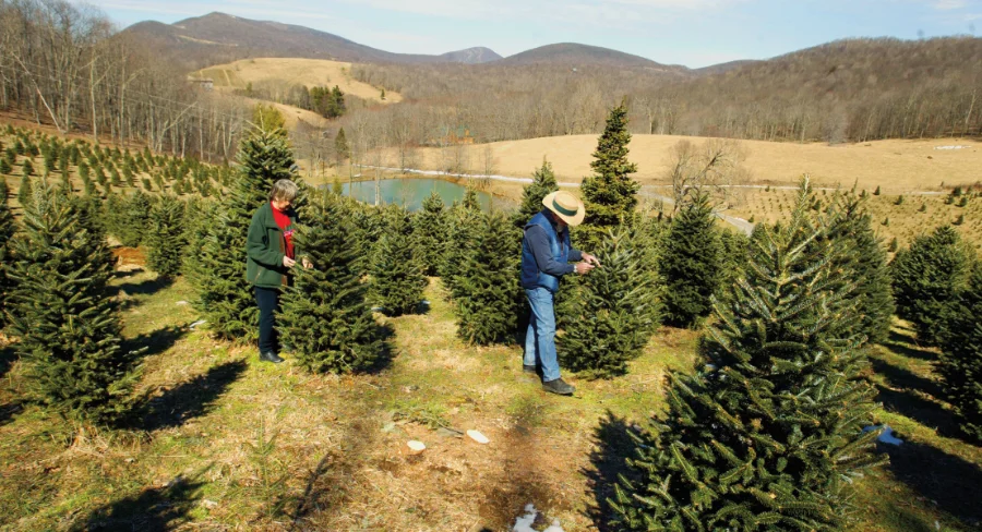 Growing a Niche for Specialty Crops