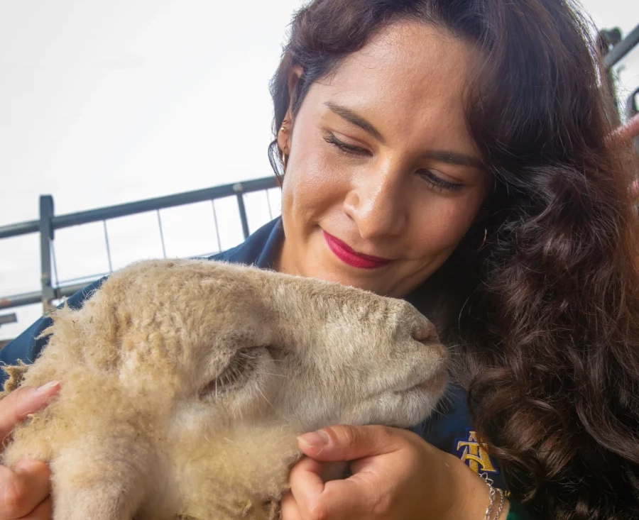 Unlocking the Secrets of Climate-Smart Sheep