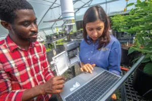 Dr. Harmandeep Sharma and graduate research assistant Edmond Kwekutsu working together in the plant sensor lab at N.C. A&T State University Farm. Dr. Sharma uses a laptop to record data, while Edmond inspects a nearby plant sensor device. The lab is filled with potted plants and electronic equipment under a greenhouse structure.