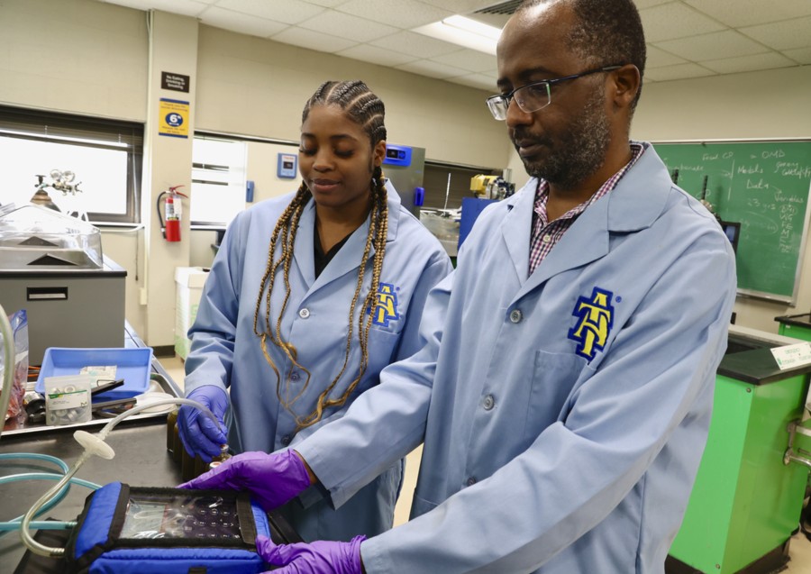 Undergraduate researcher tackles beef industry’s “multimillion-dollar headache”